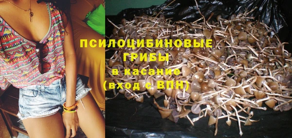 apvp Володарск