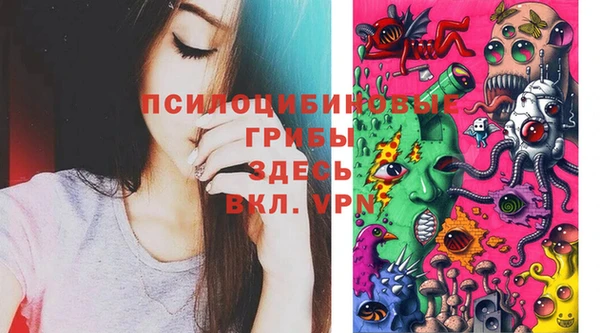 Альфа ПВП Волоколамск